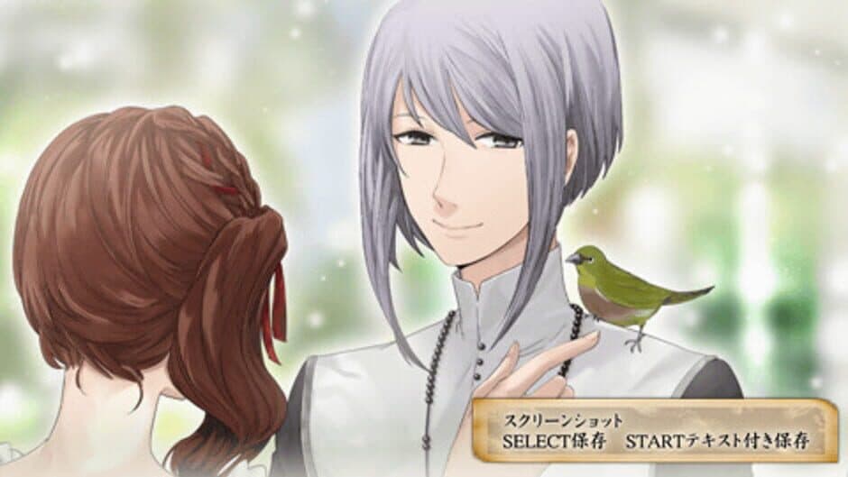 Yoiyo Mori no Hime screenshot