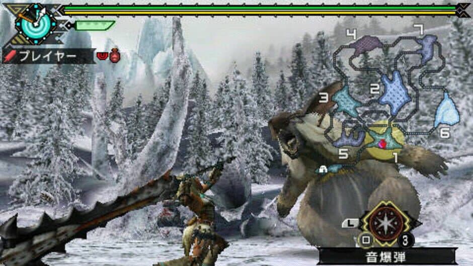 Monster Hunter Portable 3rd screenshot