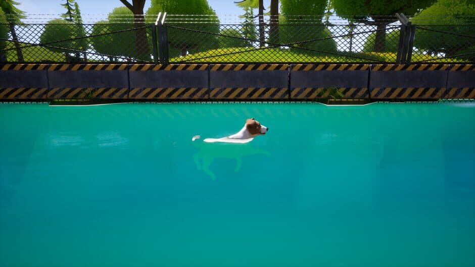 Dogs Club screenshot