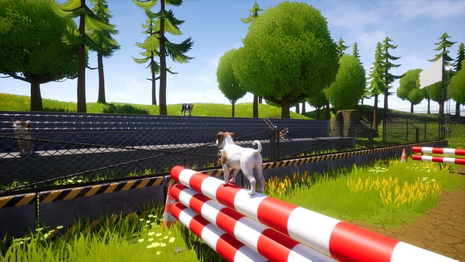 Dogs Club screenshot