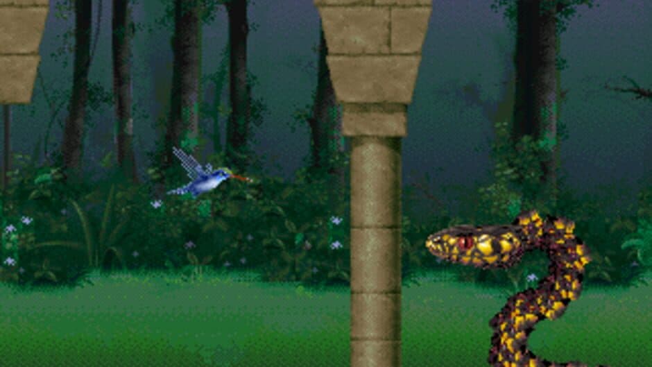 Kolibri screenshot