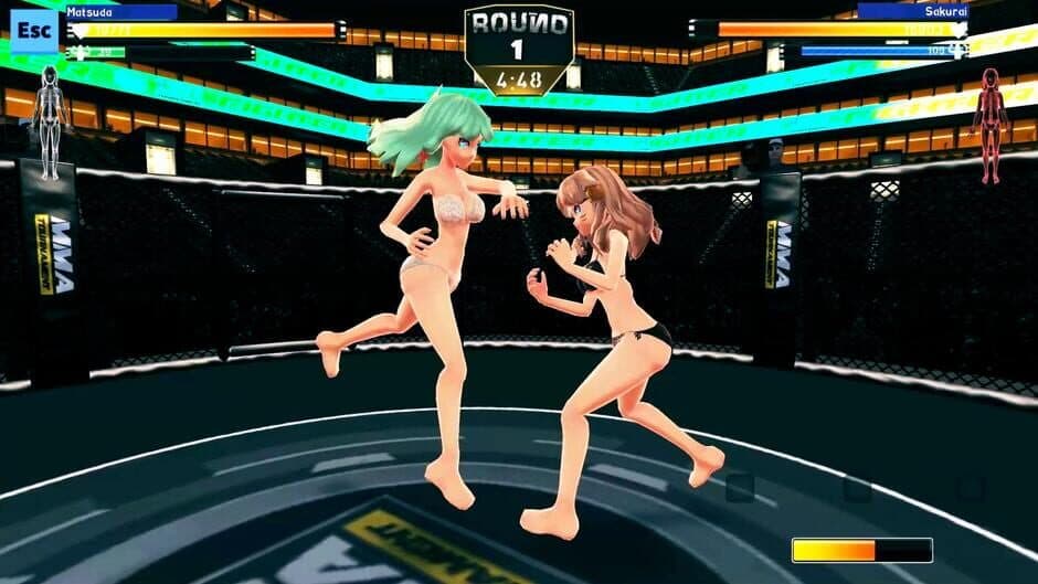 Anime Girls: MMA Tournament screenshot