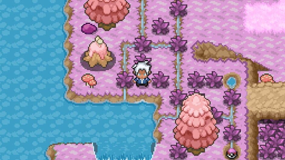 Pokémon Hero screenshot