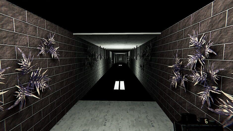 Liminal Gallery screenshot