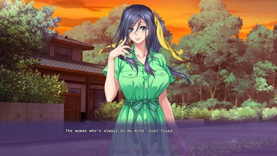 An Aunt After My Own Heart screenshot