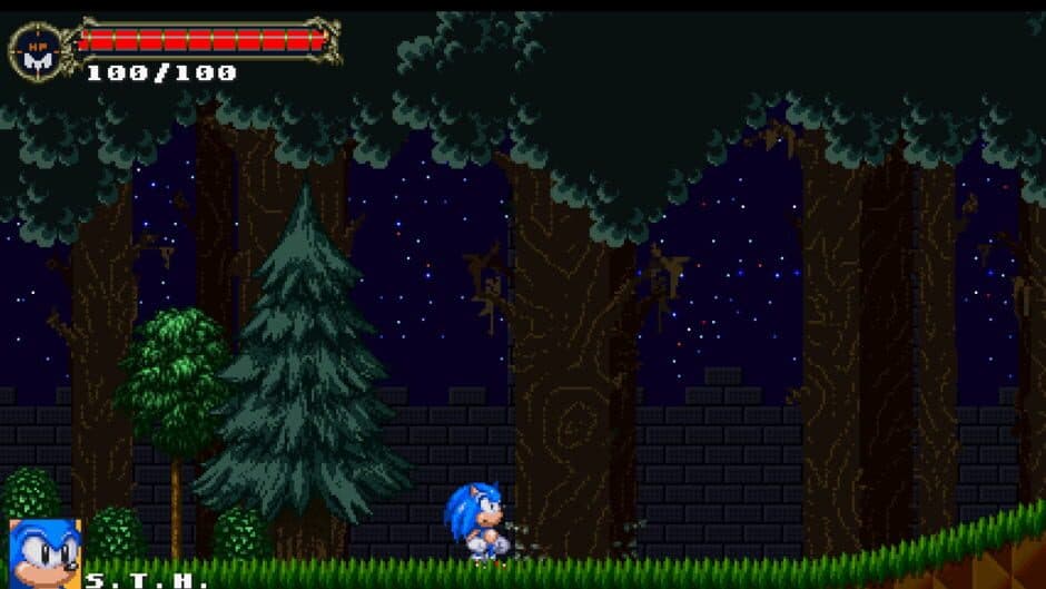 Sonic: The Murdering Insanity screenshot