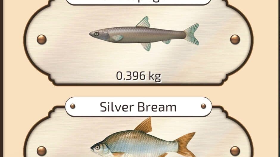 Let's Fish screenshot