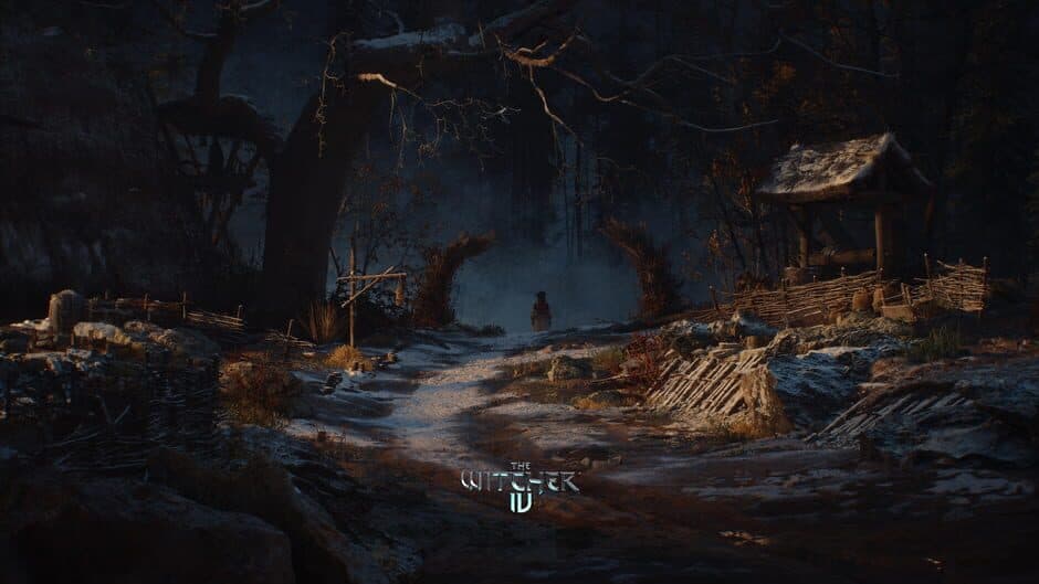 The Witcher IV screenshot