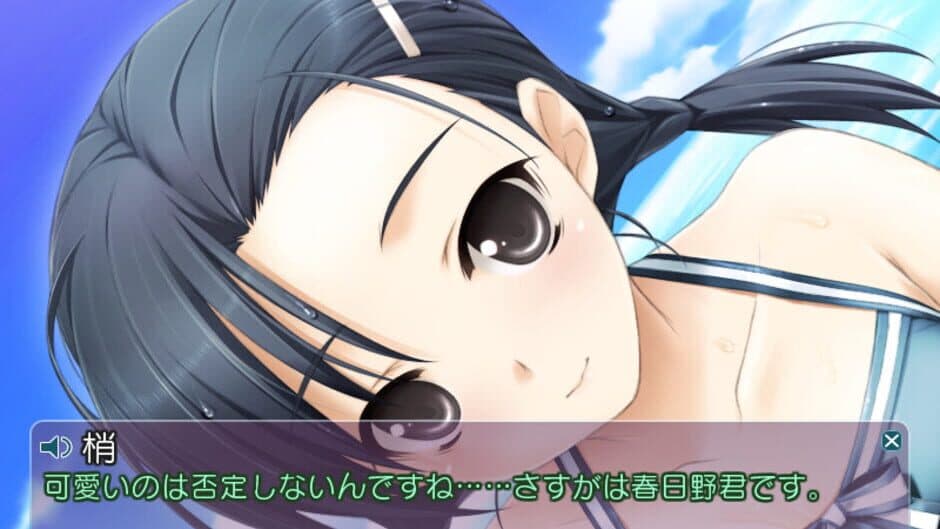 Haruka na Sora screenshot