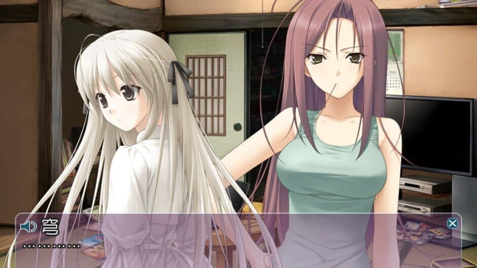 Haruka na Sora screenshot