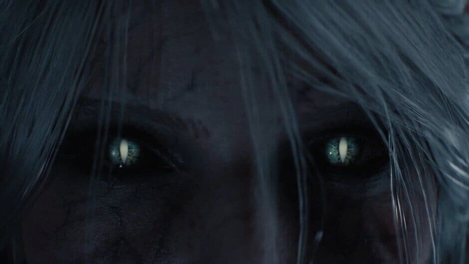The Witcher IV screenshot