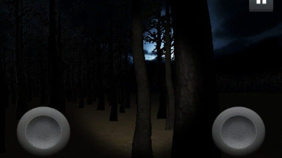 SlenderMan's Forest screenshot