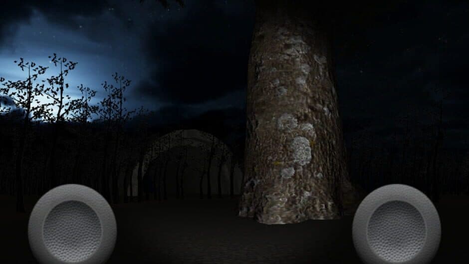 SlenderMan's Forest screenshot