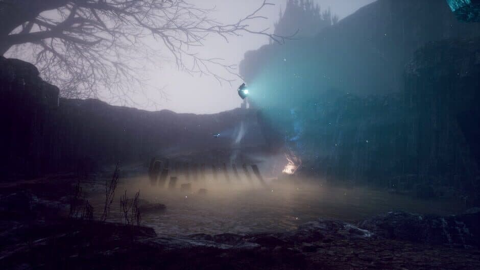 Drizzlepath: Picturae screenshot