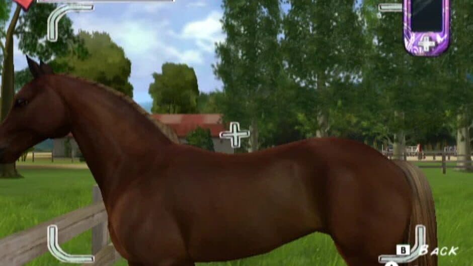 Horse Life Adventures screenshot