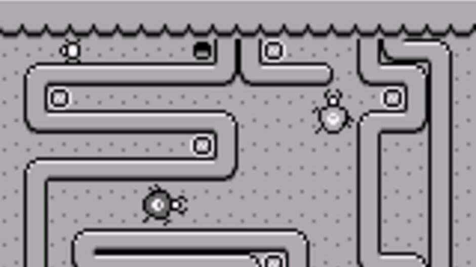 Bug Bites! screenshot