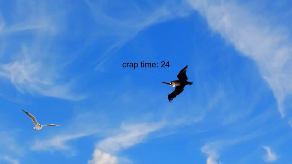Kai's Bird Game, by Kai screenshot