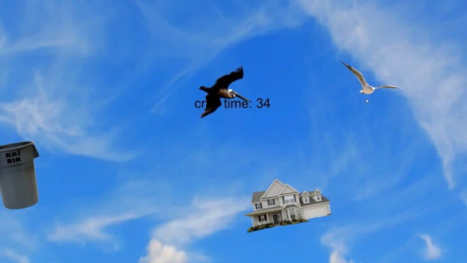 Kai's Bird Game, by Kai screenshot