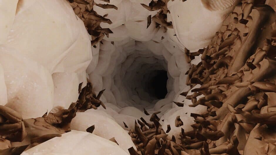 Viande Crue screenshot