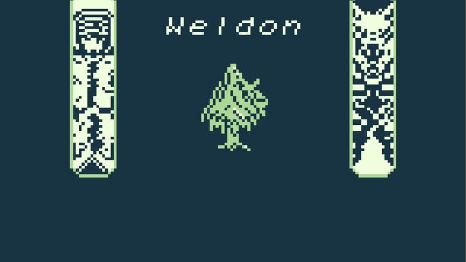 Weldon screenshot