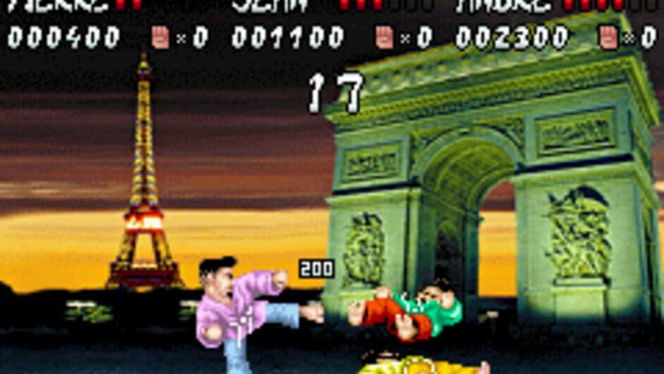 International Karate Advanced screenshot