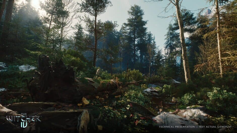 The Witcher IV screenshot