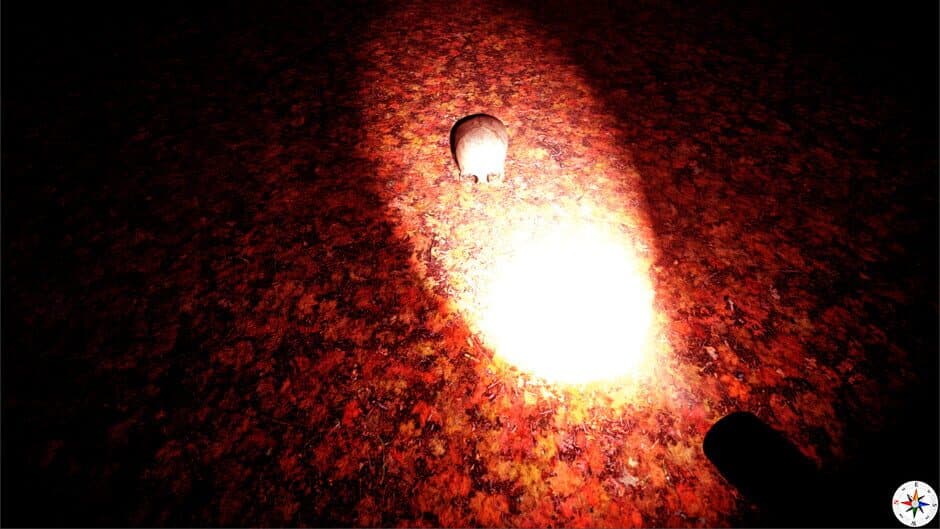 Disappeared screenshot