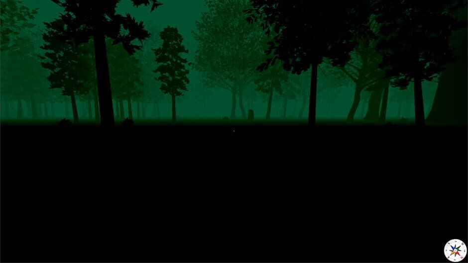 Disappeared screenshot