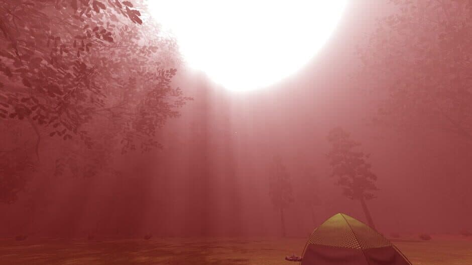 Disappeared screenshot