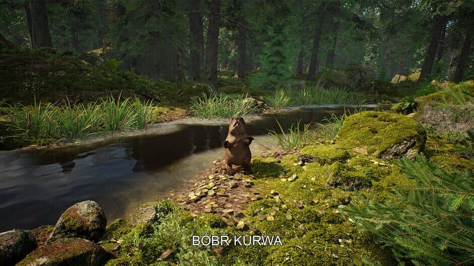 Mushroom Hunter Simulator screenshot
