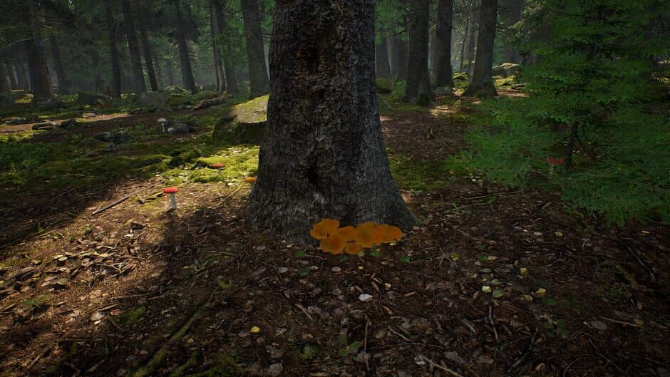 Mushroom Hunter Simulator screenshot