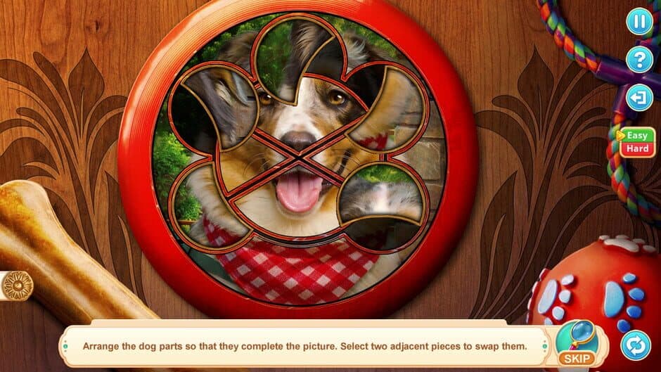 Home for Friends: Beloved Pets - Collector's Edition screenshot