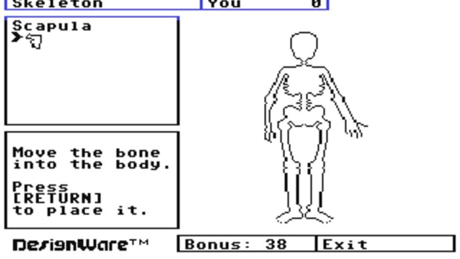 The Body Transparent screenshot