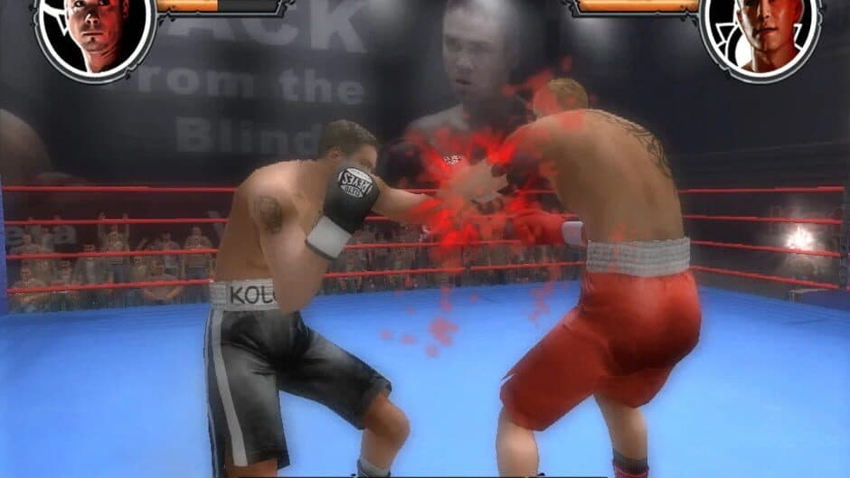 Shadow Boxing 2 screenshot
