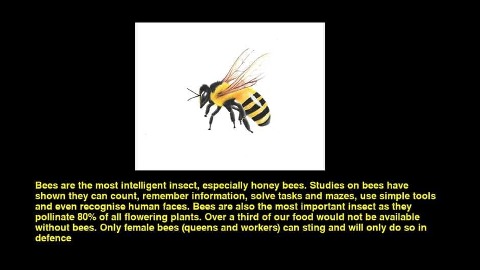 Quiz & Learn: Animals screenshot