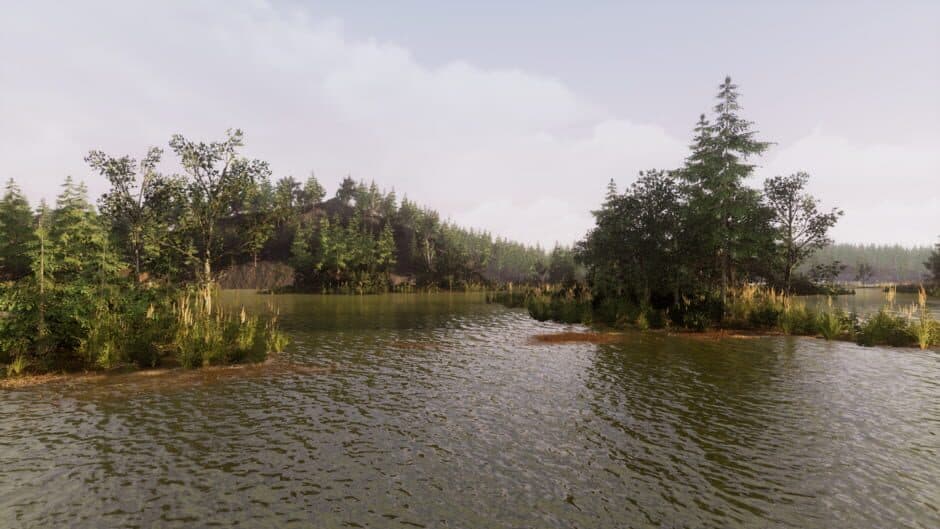 Vein screenshot