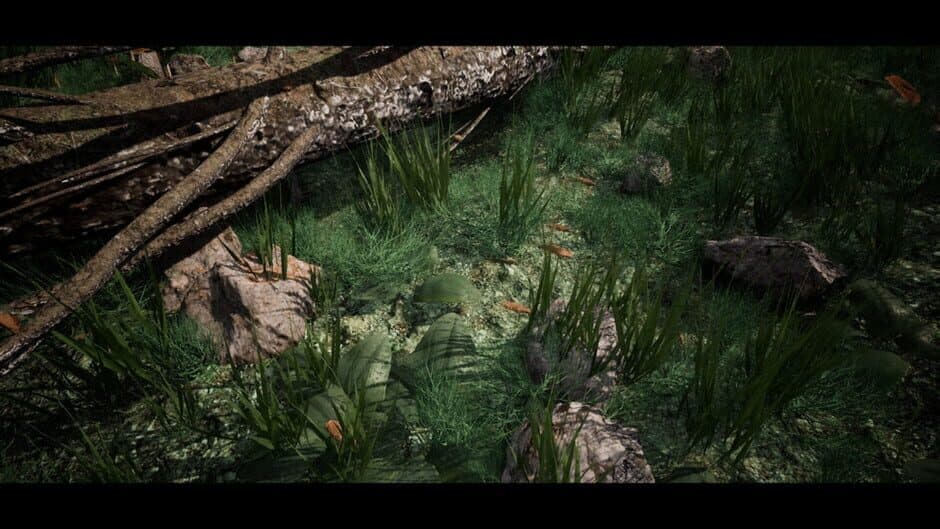 Soilborn: Ant Empire screenshot