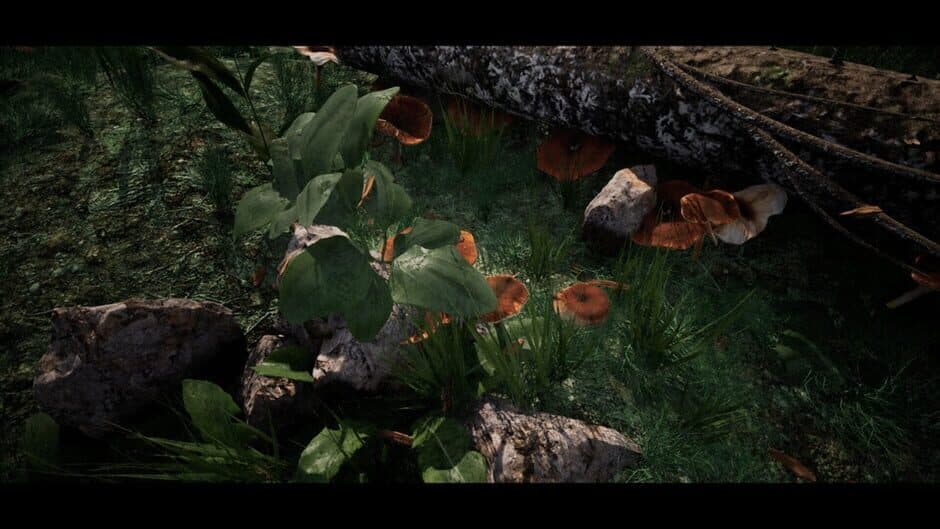 Soilborn: Ant Empire screenshot