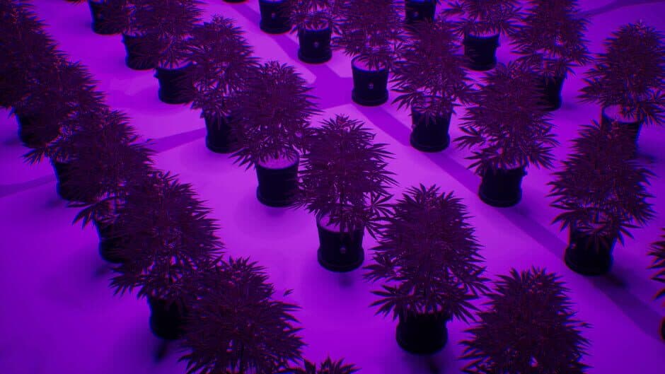 WeedEx: Drug Express Delivery screenshot