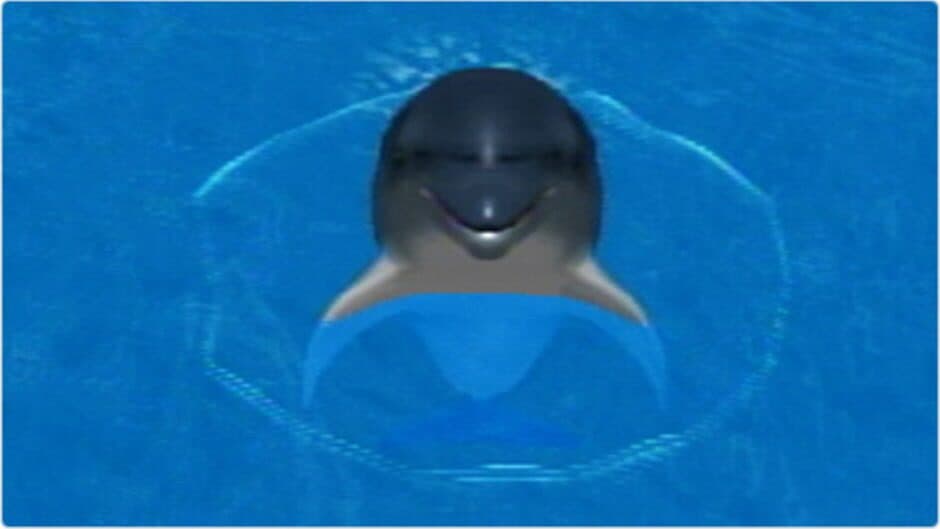 My Dolphin screenshot