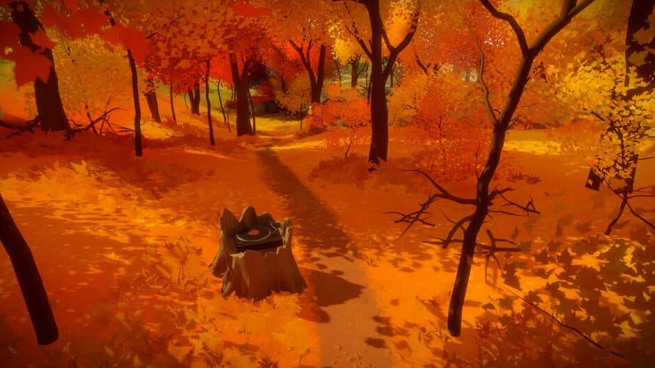 The Witness screenshot