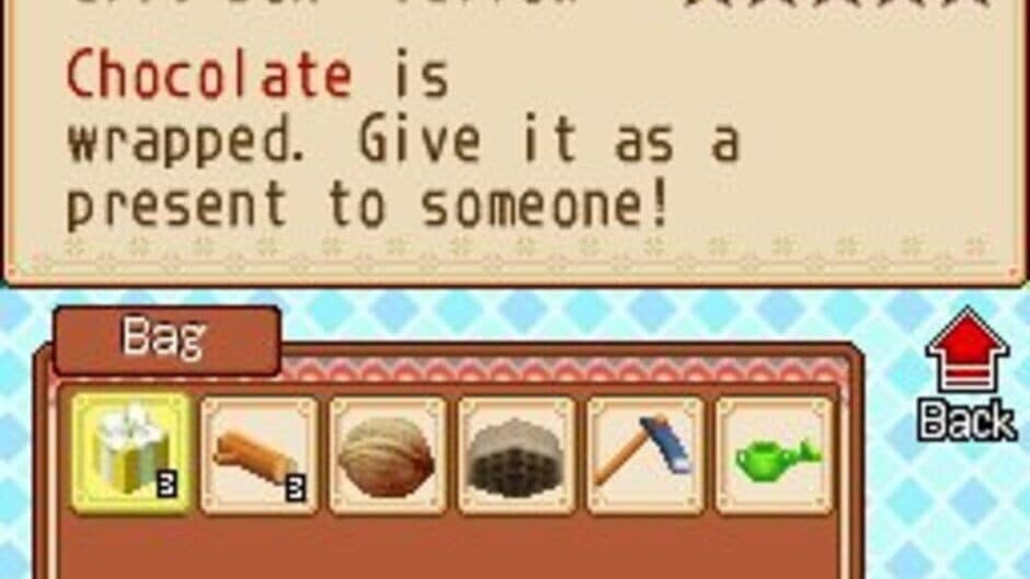 Harvest Moon DS: Grand Bazaar screenshot