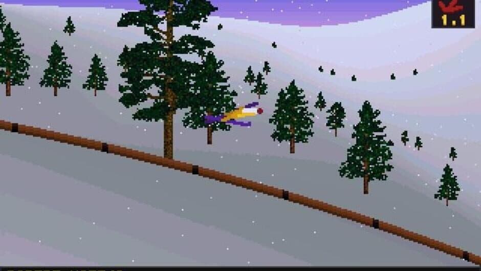 Deluxe Ski Jump 2 screenshot