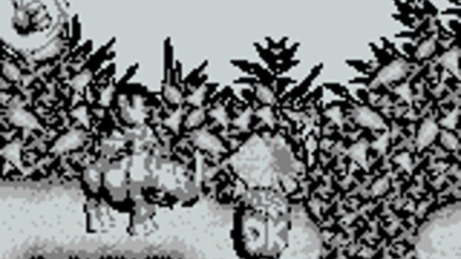Donkey Kong Land screenshot