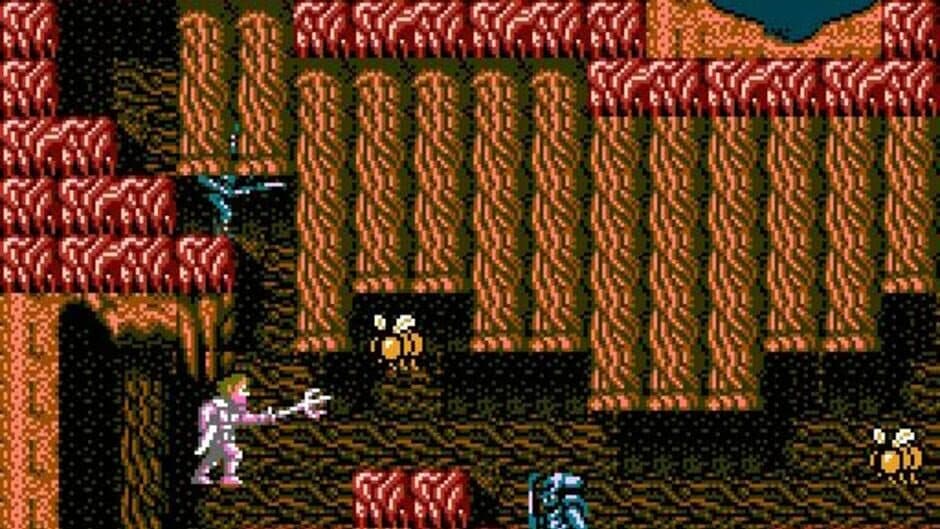 Faxanadu screenshot