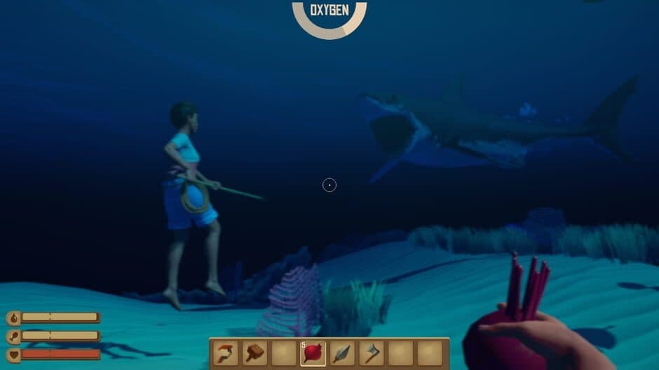 Raft screenshot