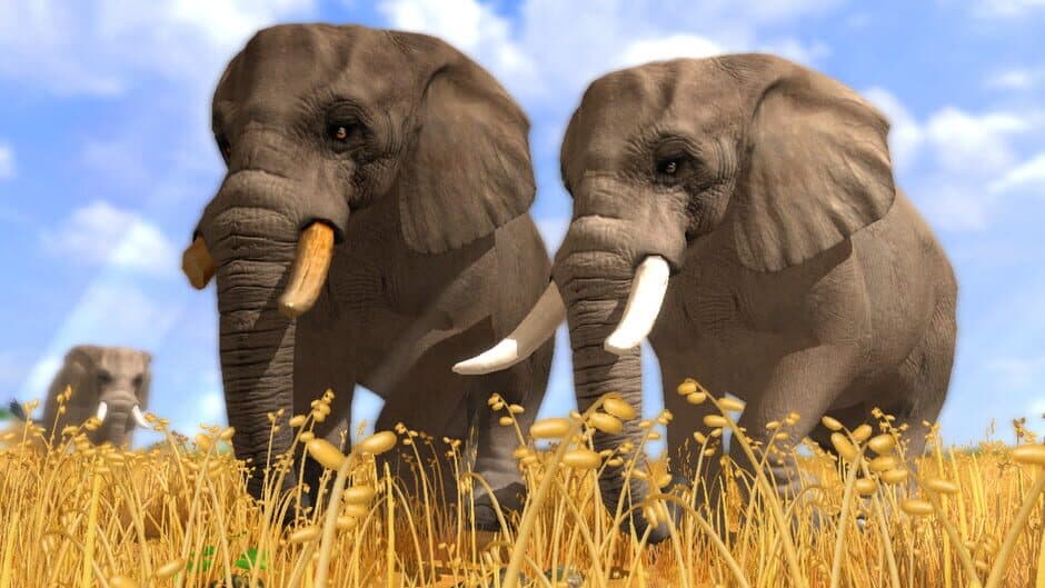 Wildlife Park 3 screenshot