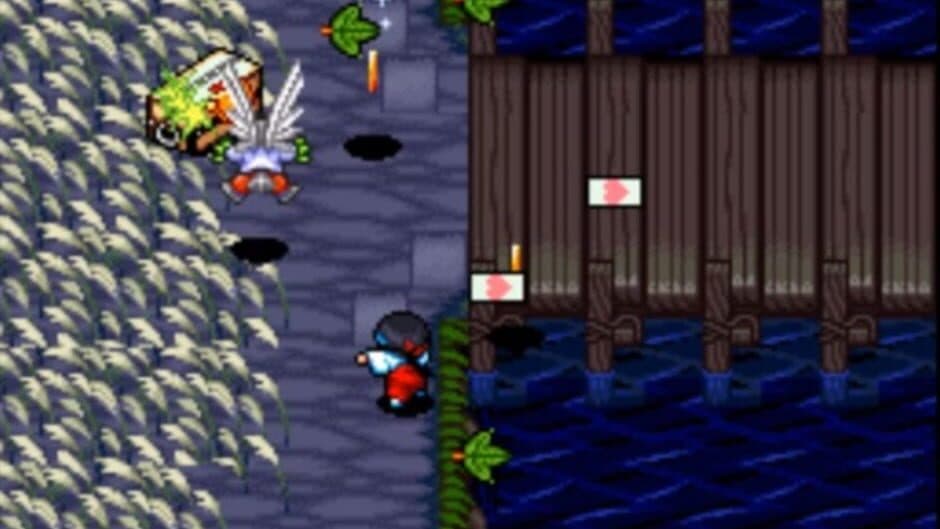 Pocky & Rocky 2 screenshot