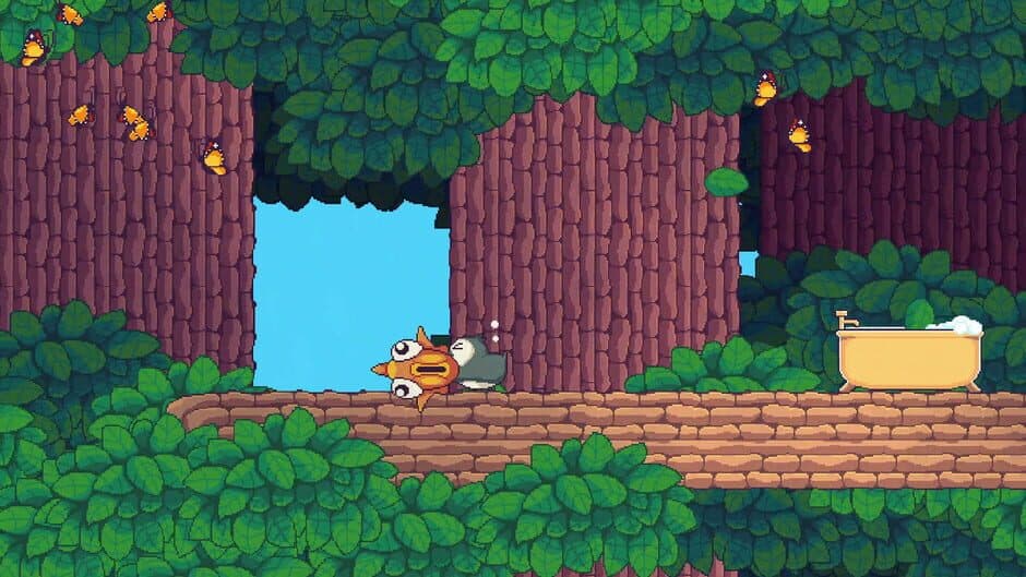 Songbird Symphony screenshot