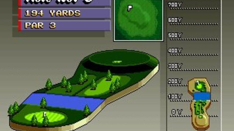 Neo Turf Masters screenshot